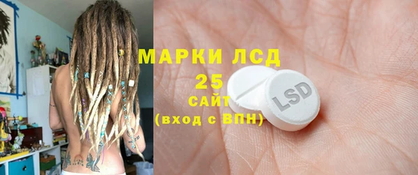 гашик Алексин