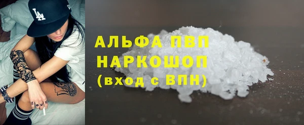 гашик Алексин