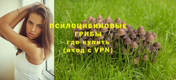 хмурый Алексеевка