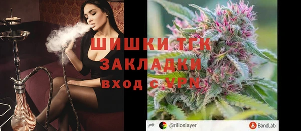 гашик Алексин