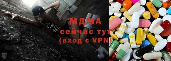 гашик Алексин