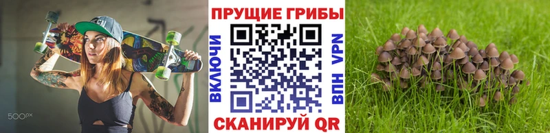 Псилоцибиновые грибы мухоморы  Бирюч 